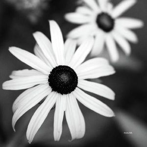 Meet your Posher, Fatima